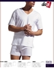 Picture of Dagi 3020 V Yaka Biyeli T-Shirt 2'li Paket