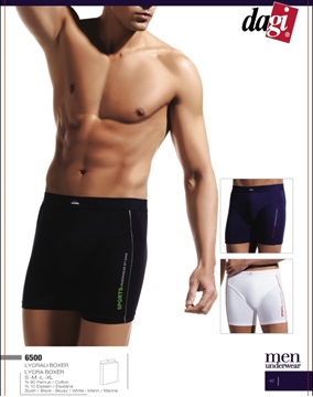 Dagi 6500 Likralı Spor Boxer (Baskılı) resmi