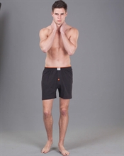 Espial 1010 Boxer resmi