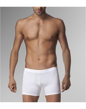 Çift Kaplan 810 Boxer resmi
