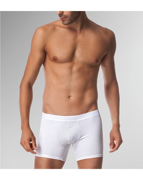Çift Kaplan 815 Boxer resmi