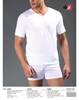 Picture of Dagi 3020 V Yaka Biyeli T-Shirt 2'li Paket