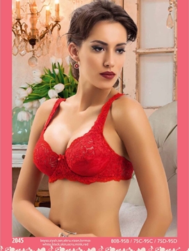 Bella Donna 2045 Minimizer Sütyen resmi
