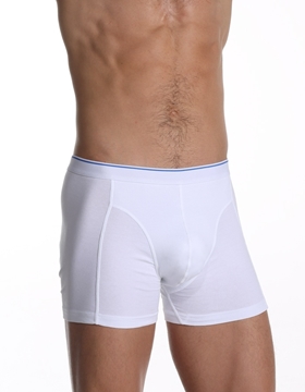 Çift Kaplan 889 Elestanlı Boxer resmi