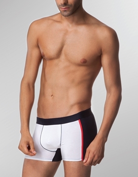 Çift Kaplan 823 Boxer resmi