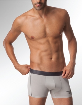Çift Kaplan 824 Boxer resmi