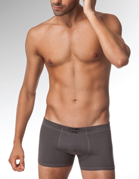 Çift Kaplan 825 Boxer resmi