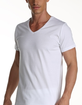 Çift Kaplan 952 V Yaka Erkek T-Shirt resmi
