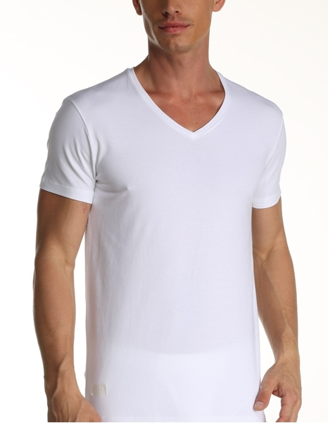 Picture of Çift Kaplan 956 V Yaka Erkek T-Shirt
