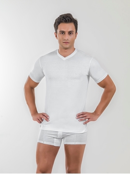 Pierre Cardin 115 Erkek V Yaka Fanila