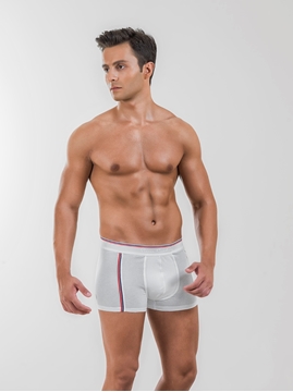 Pierre Cardin 336 Erkek Stretch Boxer